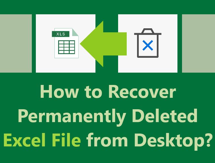 Can I Recover A Permanently Deleted Excel File Darwin Amp 39 S Data