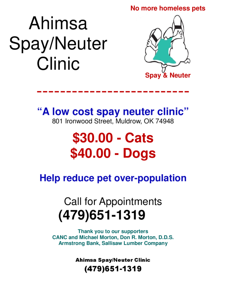 Cheap Fix Clinic Saves Lives With Low Cost Spay Neuter Alley Cat Rescue