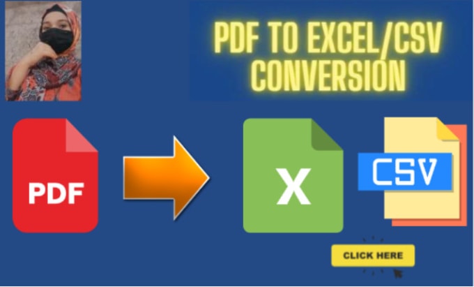 Convert Pdf To Excel Instantly By Kainatlia Fiverr