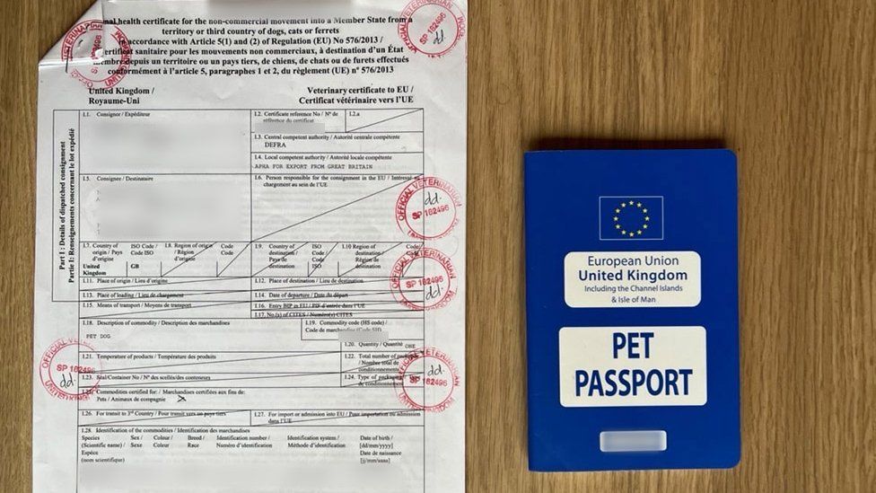 Dog Passport Veterinary Pet Document With Vaccines Id For Traveling