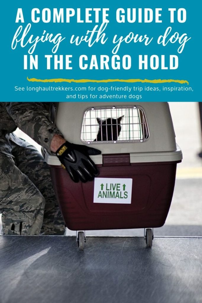 Everything You Need To Know About Flying With A Dog As Cargo Long