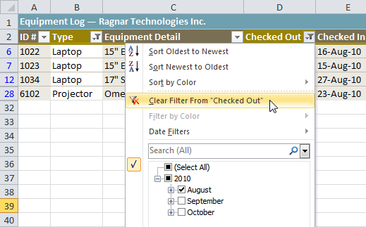 Excel 2010 Filtering Data