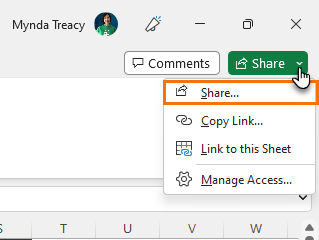 Excel Newsletter Securely Share Excel Files