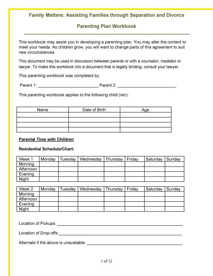 Free Connecticut Custody Parenting Plan Pdf Eforms