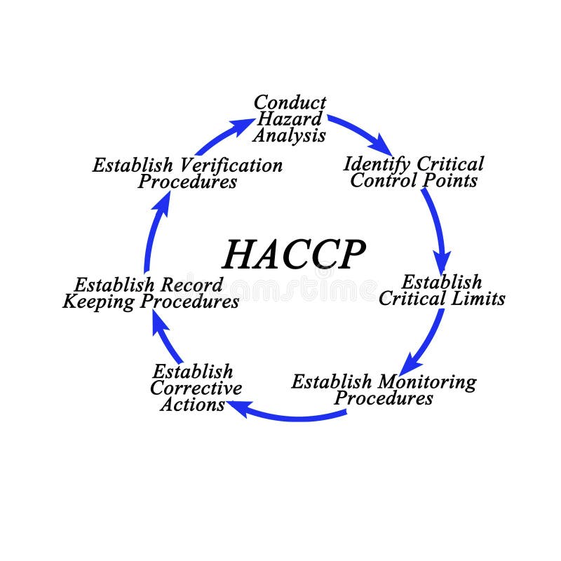 Haccp Process Steps