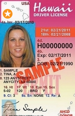 Hawaii Drivers License Permit Documents Falassj