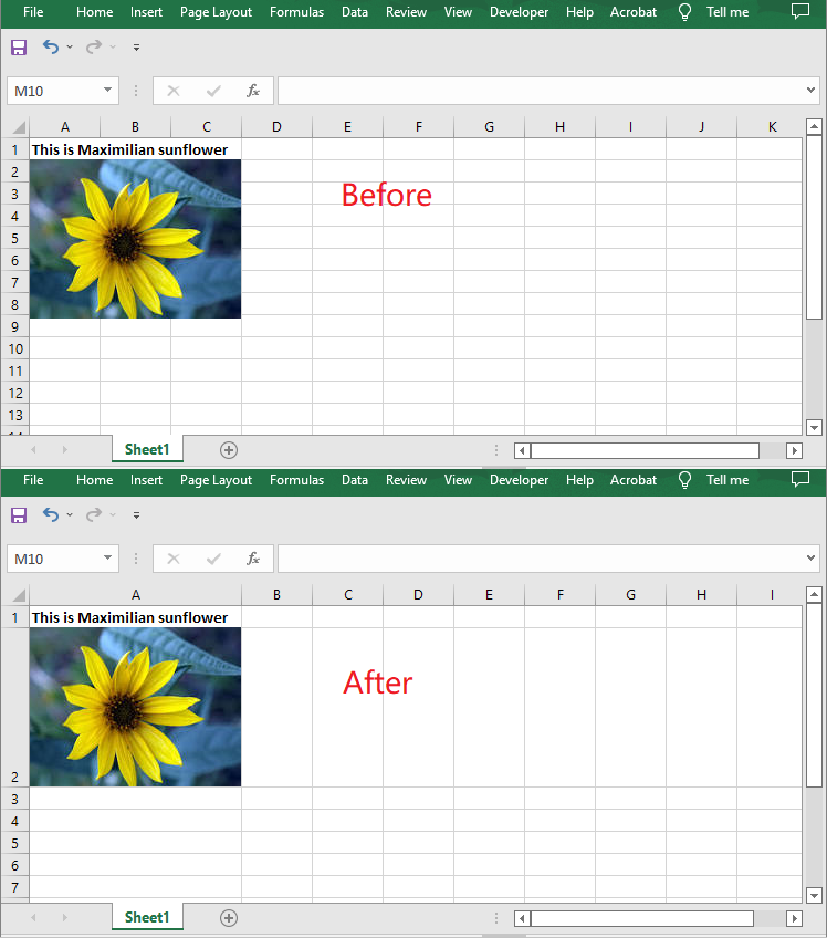 How To Copy And Paste Cell Sizes Column Widths And Row Heights In Excel