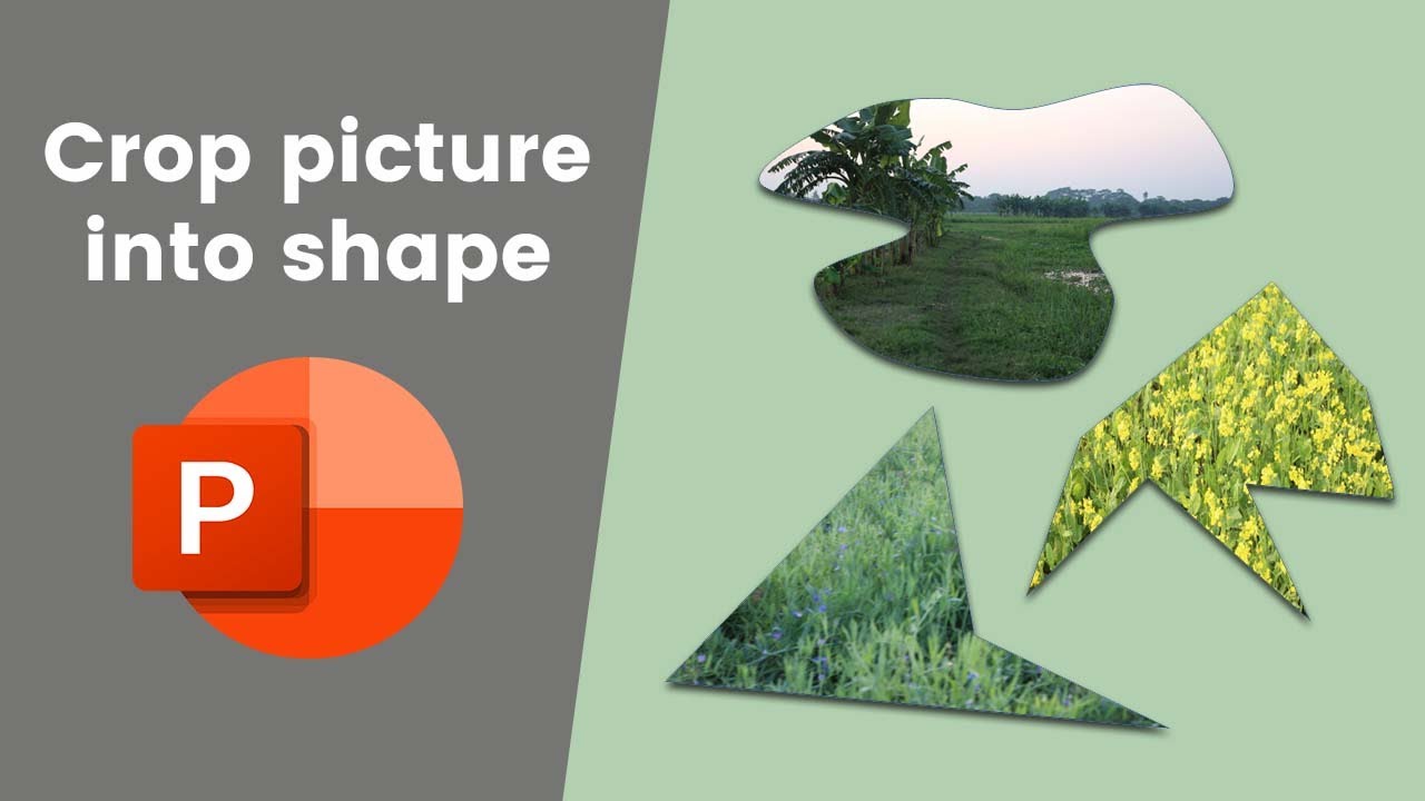 How To Crop An Image To Shape In Excel