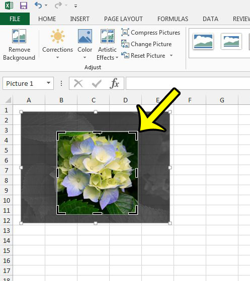 How To Crop Image In Excel 2013 Live2tech