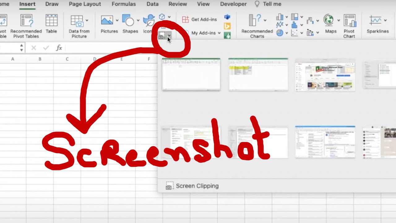 5 Easy Ways to Screenshot Excel Sheet 2007