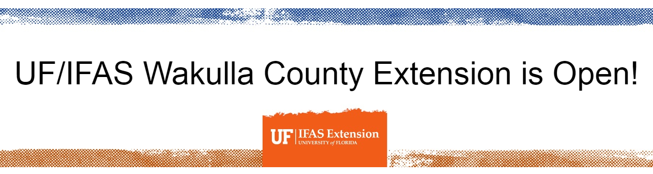 Keeping Important Papers And Documents Uf Ifas Extension Wakulla County