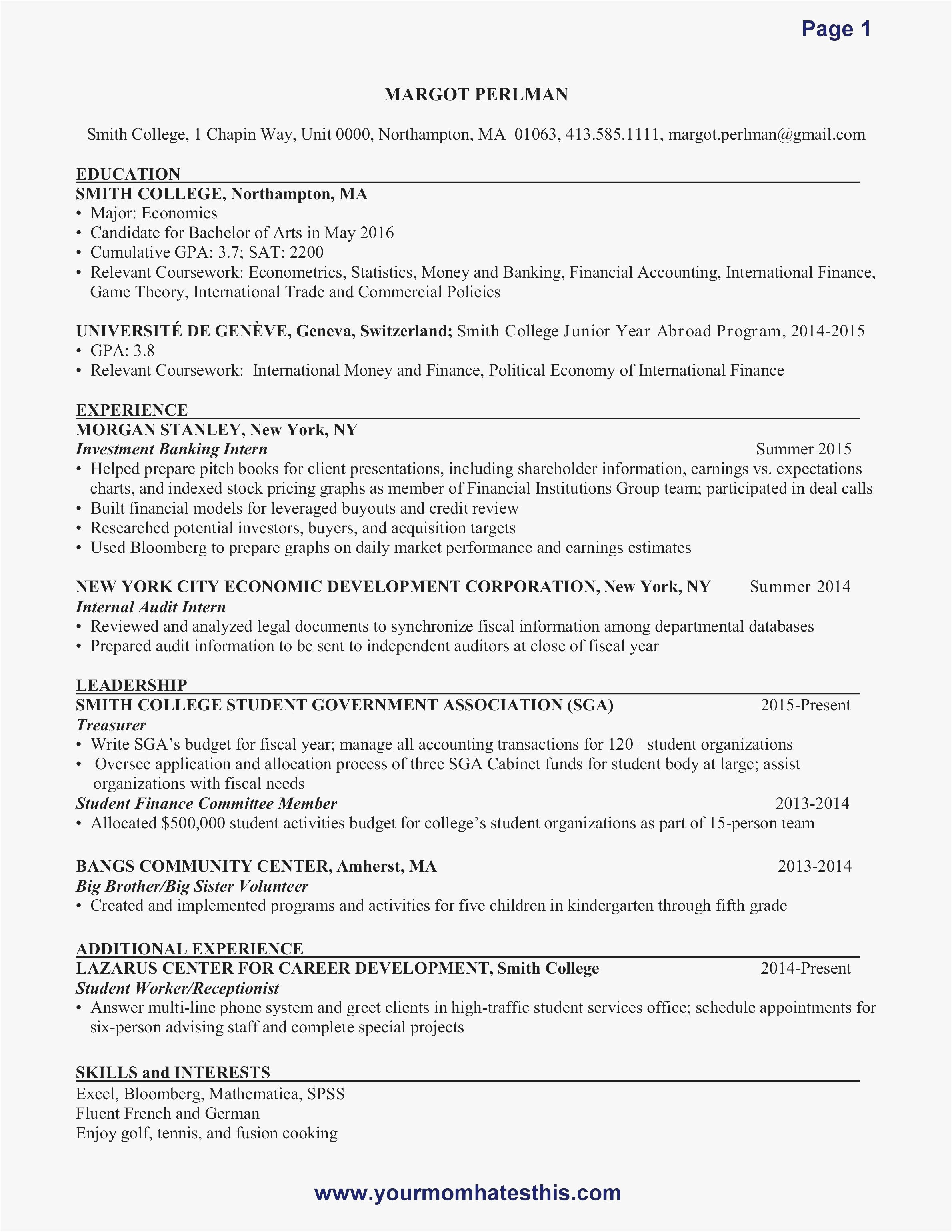 Microsoft Excel Resume Template Pdf Template