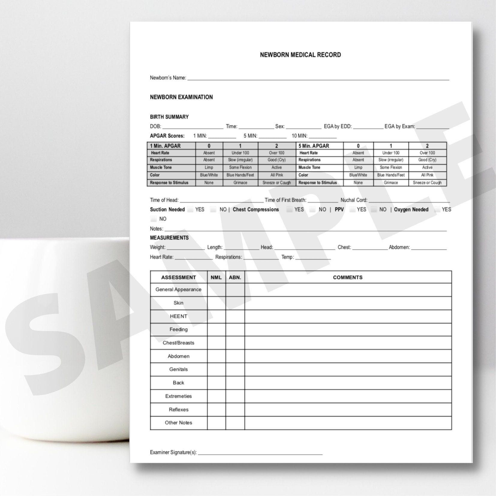 Midwife Client Intake Paperwork Printable Pdf For Midwifery Practices