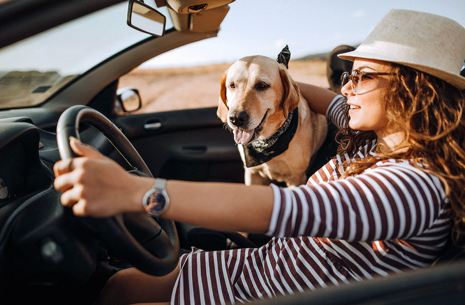 Ms Jhessy Wandering Free Traveling With Your Pet