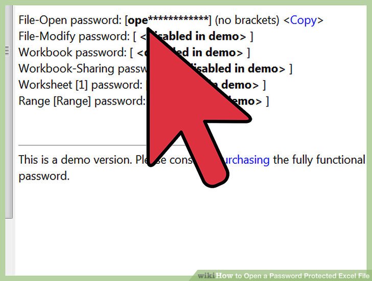 Open Excel Protected File