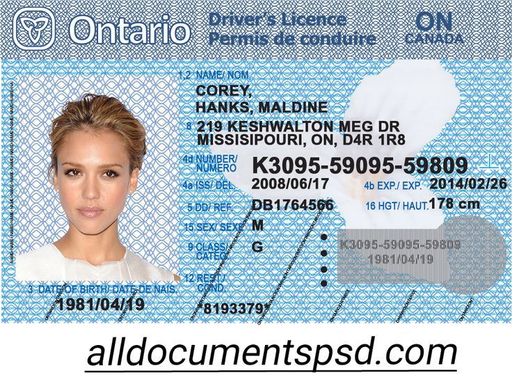 Pin On Driving License