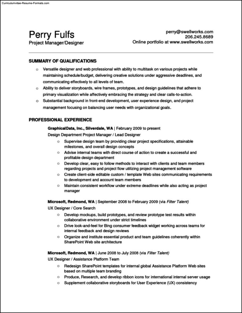 Resume Excel Template Free Samples Examples Format Resume