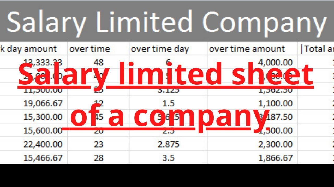 Salary Sheet Limited Company In Excel Full Automatic And Use Advance