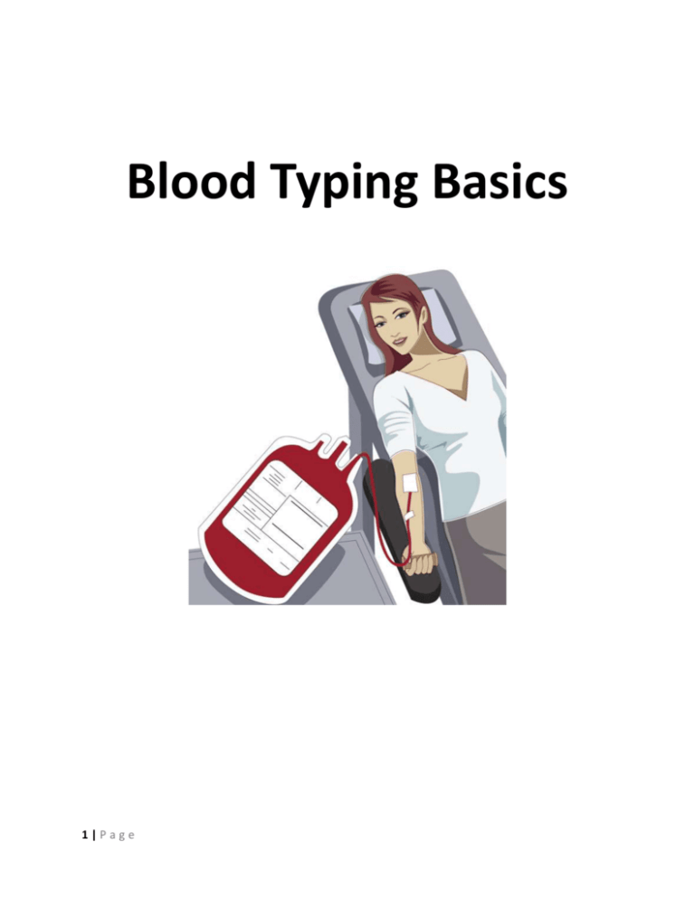 The Basics Of Blood And Blood Typing Hubpages