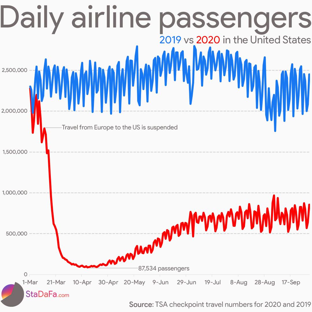 The Best Airline For Pets According To Passengers 2020