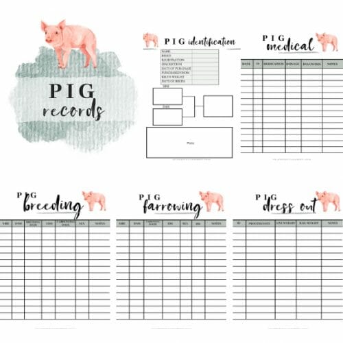 The Homestead Pig Record Book Pdf Mama On The Homestead