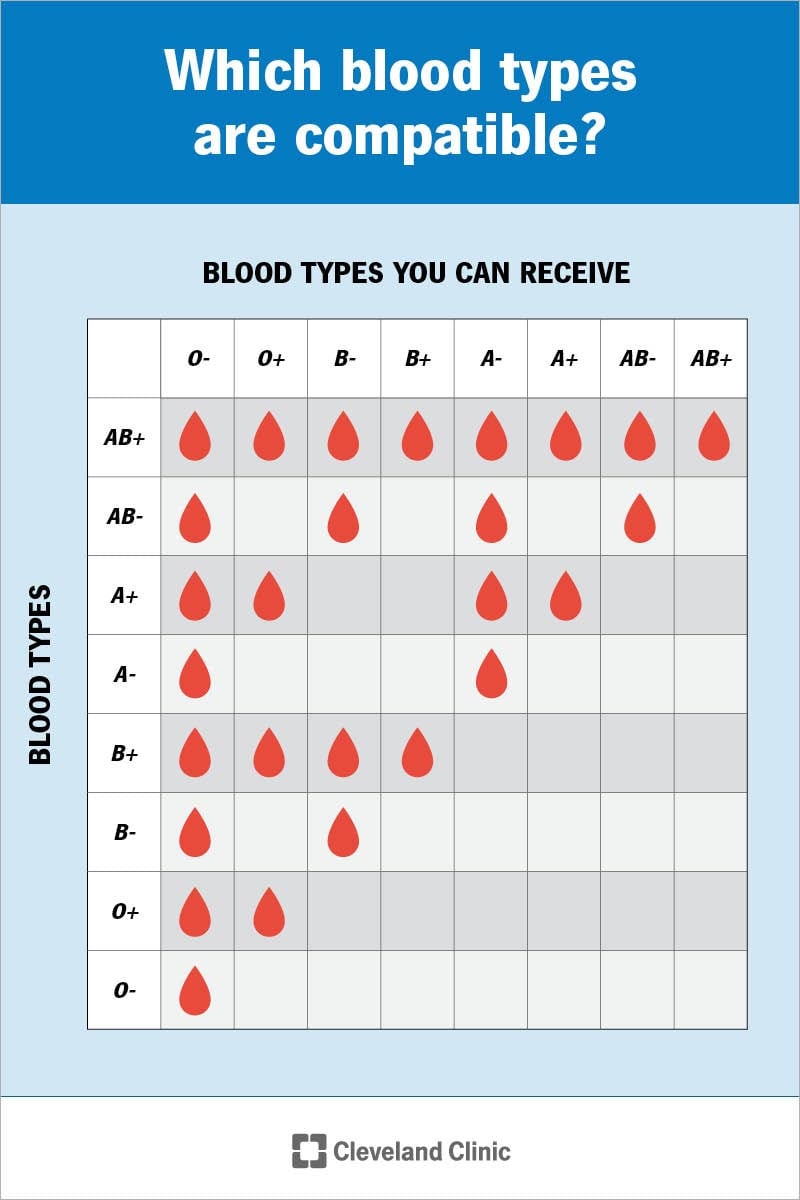 Unlocking The Sweet Potential Can Blood Type B Safely Consume Stevia Substitutes Io