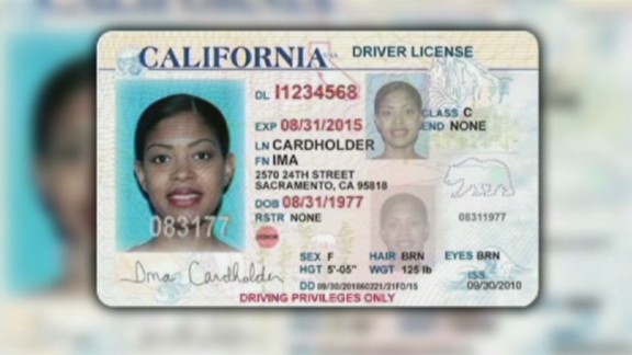 Where Do Driver S Licenses For Undocumented Immigrants In Nj Stand