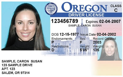 Oregon CDL: Where Do Truck Drivers Keep Paperwork?