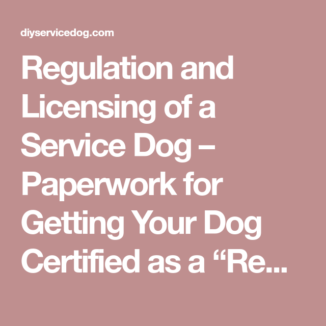 Service Dog Paperwork: Where to Get It Easily